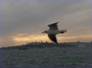 2007 - Istanbul